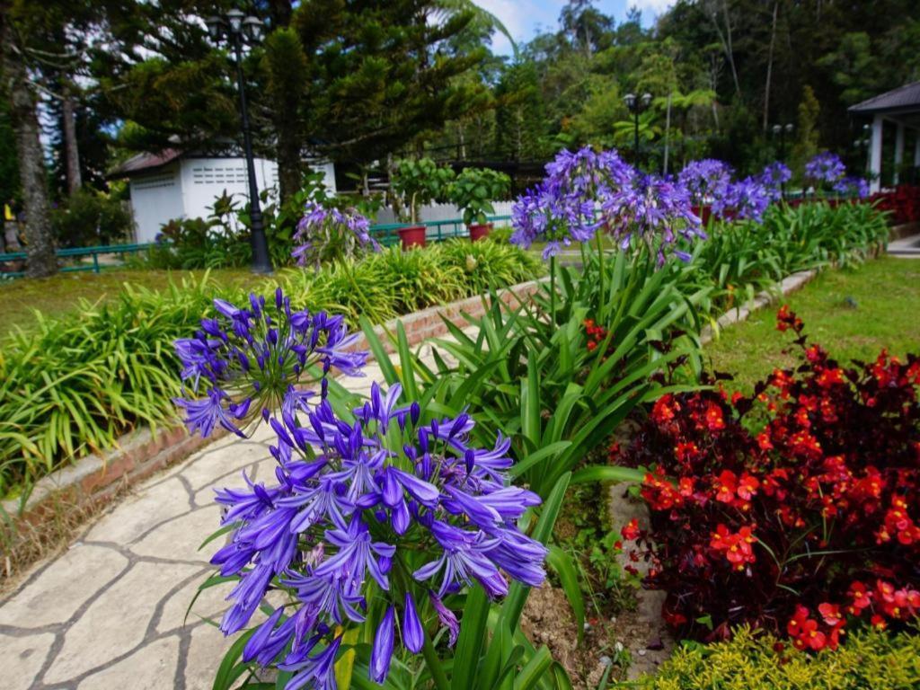 Spot On 89751 Bed Station Guest House Tanah Rata Luaran gambar